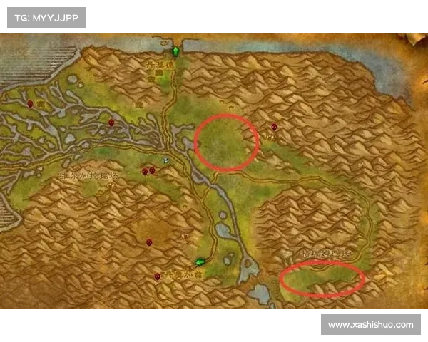 魔兽世界怀旧服：宠物等级提升攻略